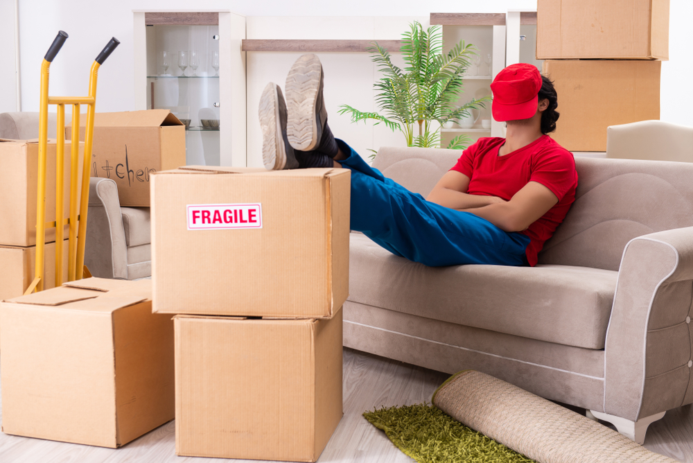 professional packing services