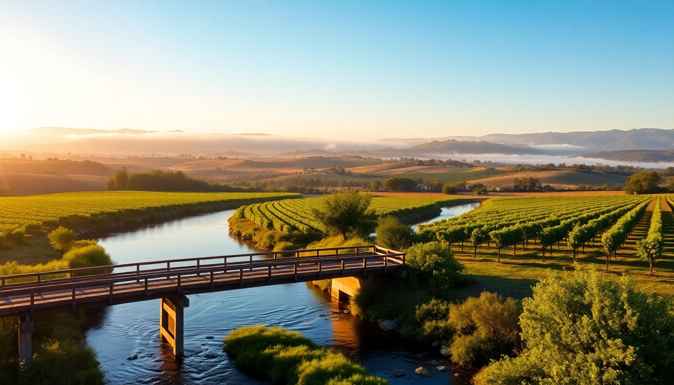 Scenic view of Carksburg CA showcasing vineyards and the Sacramento River at golden hour.
